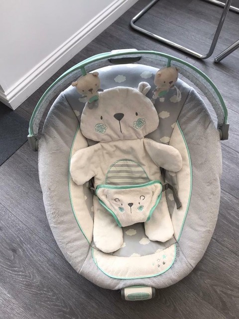 twinkle twinkle teddy bear bouncer